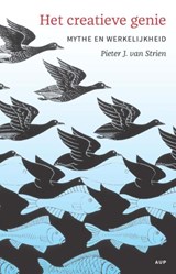 Het creatieve genie - Pieter J. van Strien - 9789048528080