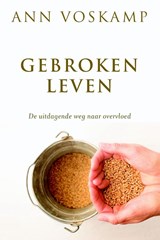 Gebroken leven - Ann Voskamp - 9789051946284