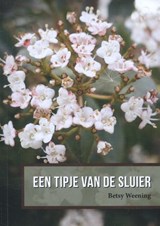 Een tipje van de sluier - Betsy Weening - 9789052945996