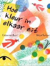 Hoe kleur in elkaar zit - Catherine Barr - 9789053417591
