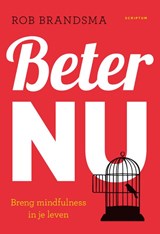 Beter nu - Rob Brandsma - 9789055949571