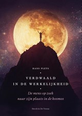 Verdwaald in de werkelijkheid - Hans Plets - 9789056156961