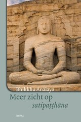 Meer zicht op satipatthana - Bhikkhu Analayo - 9789056703547