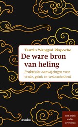 De ware bron van heling - Tenzin Wangyal Rinpoche - 9789056704322