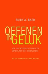 Oefenen in geluk - Ruth A. Baer ; Ruth Baer - 9789057124129