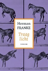 Voorbij ik en waar gebeurd 3 Traag licht - Herman Franke - 9789057594045