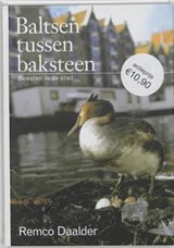 Baltsen tussen baksteen - Daalder, R. - 9789059370425