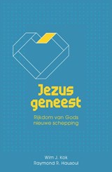 Jezus geneest - Wim Kok ; Raymond Hausoul - 9789059990937