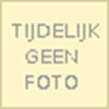 Geschiedenis van Emmen en Zuidoost-Drenthe - GERDING, M. A. W.  & GEMEENTEBESTUUR, Emmen (Netherlands). - 9789060098769