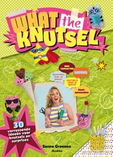 What the knutsel - Sanne Groenen - 9789062229017