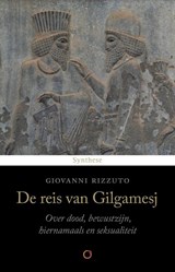 De reis van Gilgamesj - Giovanni Rizzuto - 9789062711826