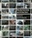 Nederlandse architecten Dutch architects 5, niet bekend - Gebonden - 9789063690090