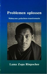 Problemen oplossen - Lama Thubten Zopa Rinpochee - 9789071886041