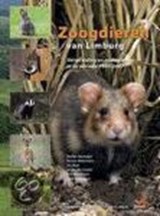 Zoogdieren van Limburg.  - Huizenga, Neeltje& Akkermans, Reinier& Jan Buys, Jo van der Coelen, Bert Morelissen en Ludy Verheggen - 9789074508162