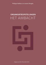 Organisatieopstellingen - het ambacht - Philippe Bailleur ; Leanne Steeghs - 9789077290446