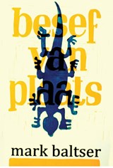 Besef van Plaats - Mark Baltser - 9789079418909