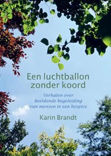 Een luchtballon zonder koord - Karin Brandt - 9789082913415