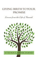 Giving Birth to your Promise - Stefan Lakhichand - 9789083083308