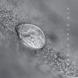 wie glas blaast - Dietske Geerlings - 9789083181370