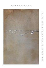 Bombyx mori - Dietske Geerlings - 9789083181387