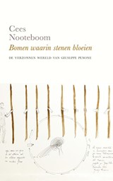 Bomen waarin stenen bloeien - Cees Nooteboom - 9789083323947