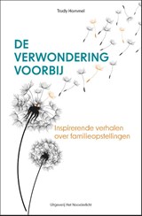 De verwondering voorbij - Trudy Hommel - 9789083344775