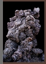 Imaginary Ecologies - Martin Tscholl - 9789083357157