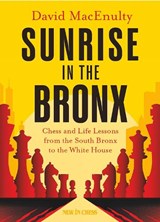 Sunrise in the Bronx - David MacEnulty - 9789083434902