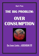 The Big Problem: Overconsumption - Bart Flos - 9789083490816