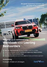 Wegwijs op de autosnelweg - Gijandew Jhingoer - 9789083535517