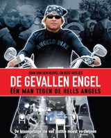 De Gevallen Engel - John van den Heuvel ; Bert Huisjes - 9789085107866
