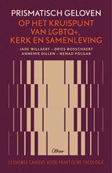 Prismatisch geloven - Jade Willaert ; Dries Bosschaert ; Annemie Dillen ; Nenad Polgar - 9789085283546
