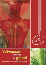 Volwassen worden in geloof - Bisschoppen van België - 9789085288930