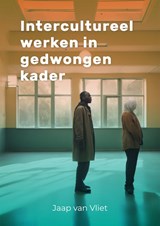 Intercultureel werken in gedwongen kader - Jaap van Vliet - 9789085603573