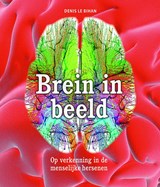 Brein in beeld - Denis Le Bihan & Tom Kortbeek ; Ansfried Scheifes - 9789085714156