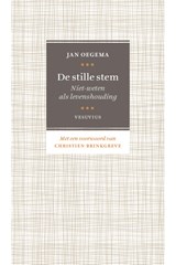 De stille stem - Jan Oegema - 9789086598441