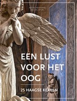 Een lust voor het oog - Botine Koopmans - 9789087049089