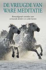 De vreugde van ware meditatie - Jeff Foster - 9789088401923