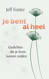 Je bent al heel - Jeff Foster - 9789088402241