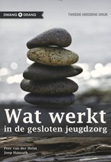 Wat werkt - Peer van der Helm ; Joep Hanrath ; Esther Jonker - 9789088503771