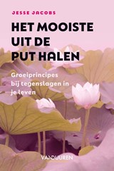 Het mooiste uit de put halen - Jesse Jacobs - 9789089656322