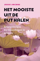Het mooiste uit de put halen - Jesse Jacobs - 9789089656339