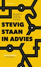 Stevig staan in advies - Bas van Gils - 9789089656605