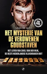 Het mysterie van de verdwenen goudstaven - Enno de Witt - 9789089755575