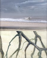 Refugium - Esther Hessing - 9789090368290
