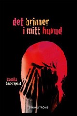 Det brinner i mitt huvud - Camilla Lagerqvist - 9789132181375