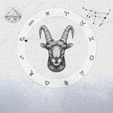 Stenbocken - Sofia Båth ; Hannah Pilfalk - 9789180248280