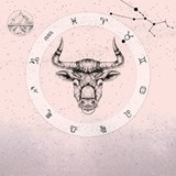 Oxen - Sofia Båth ; Hannah Pilfalk - 9789180248297