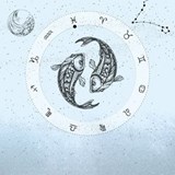 Fisken - Sofia Båth ; Hannah Pilfalk - 9789180248365