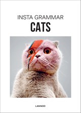 Cats - Irene Schampaert - 9789401438926